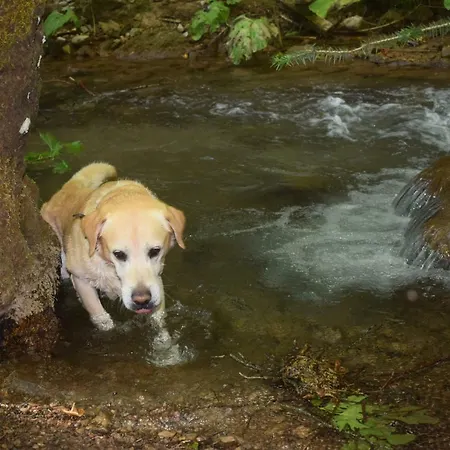 Gasthof La Locanda Pavliani
